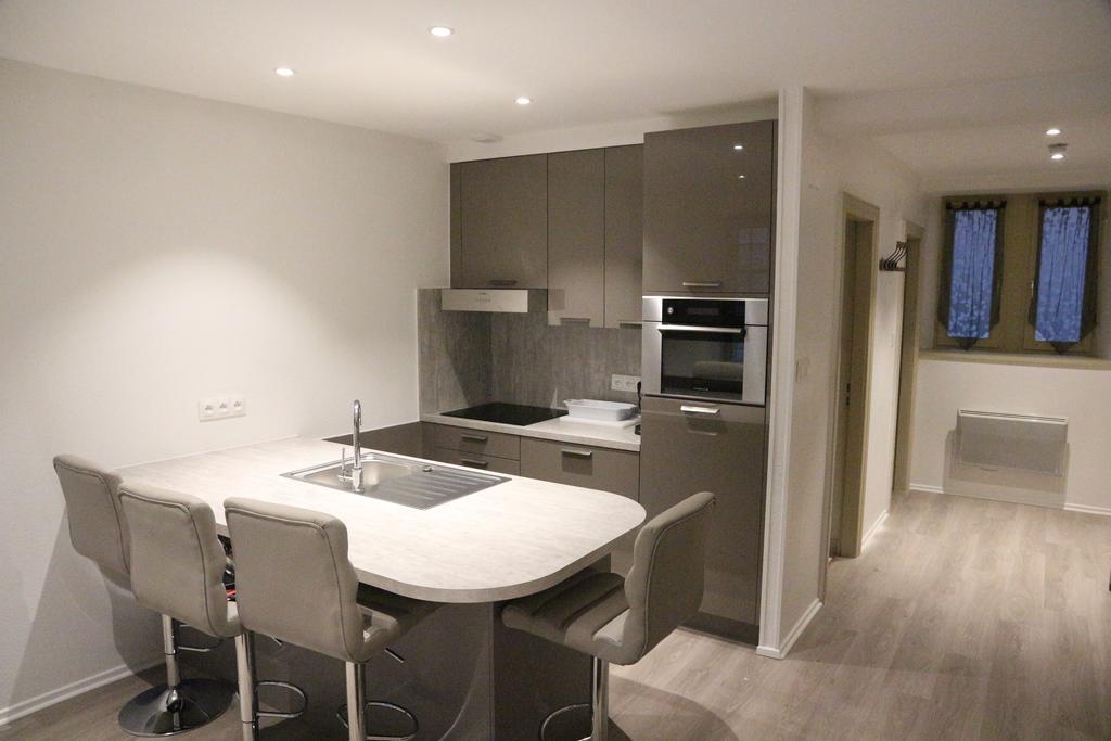 Les Dentelles - Appartement Meuble Design Petite France ストラスブール エクステリア 写真